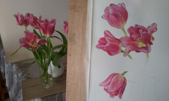 Tulips in a white jug