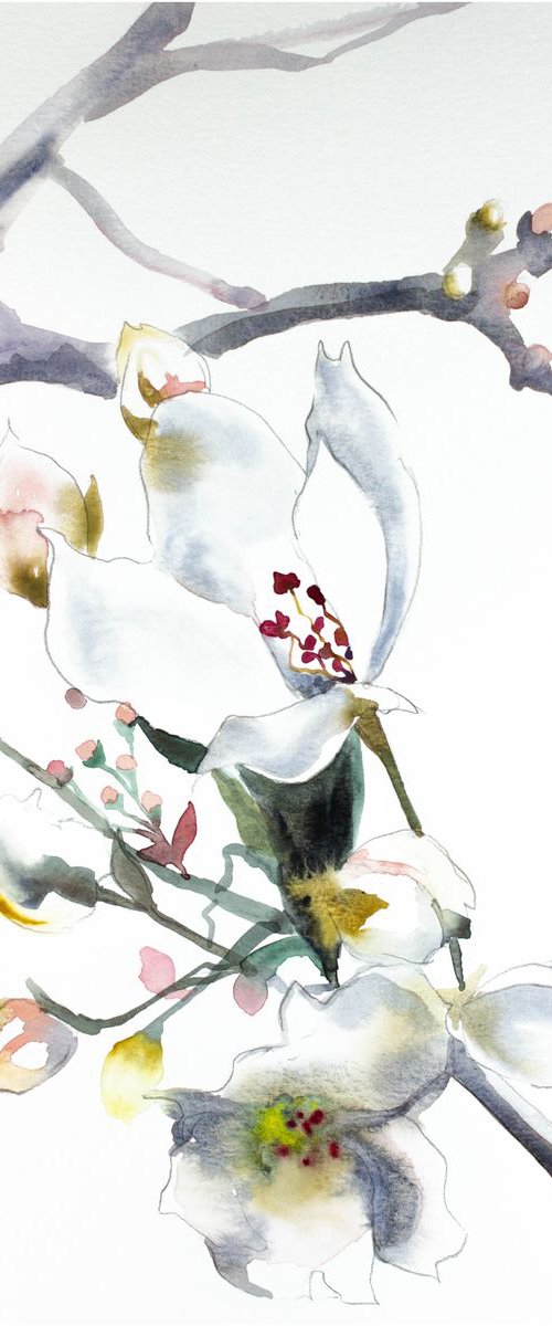 Cherry Blossom No. 9 by Elizabeth Becker