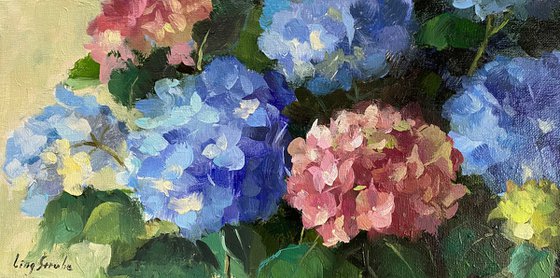 Hydrangea Garden #2