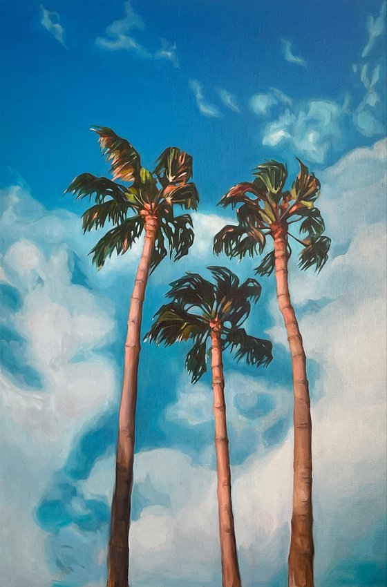 Palm trees and sky