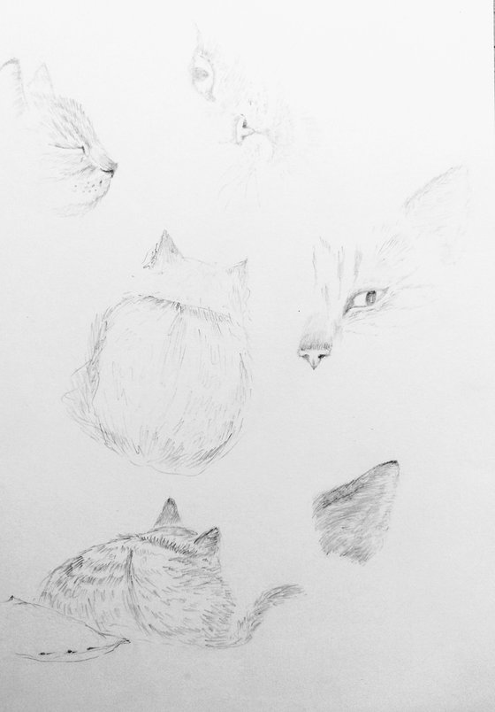 Cats. Original pencil drawing.