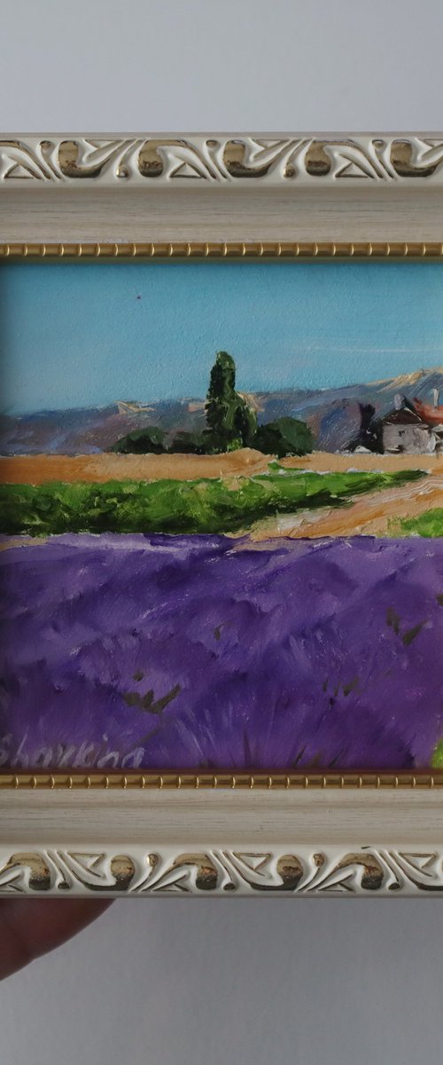 Lavender Field Painting by Natalia Shaykina