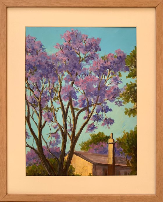 House with jacaranda