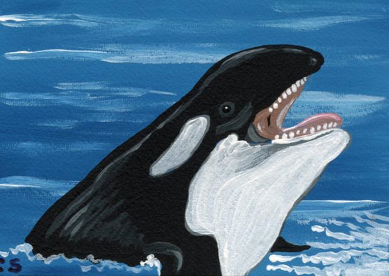 ACEO ATC Original Miniature Painting Orca Killer Whale Ocean Wildlife  Art-Carla Smale