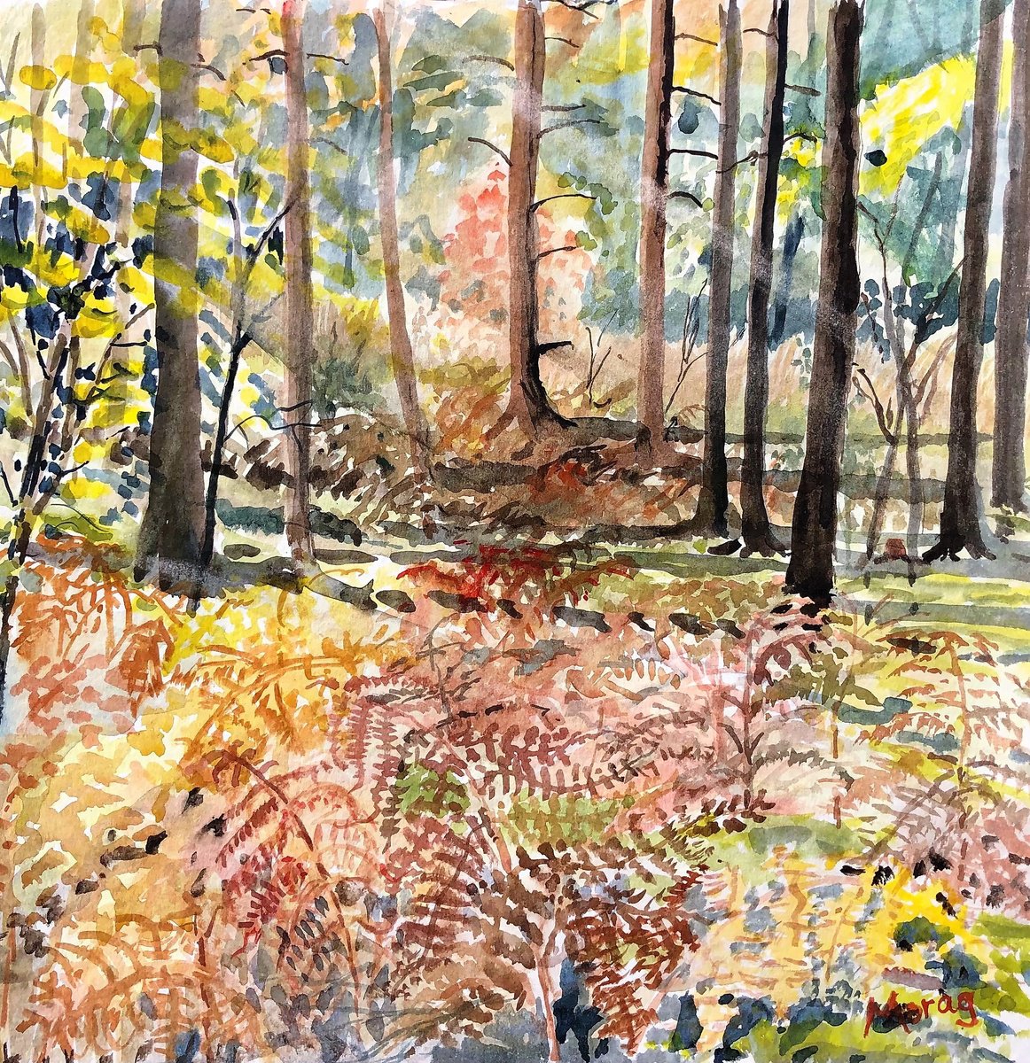 Impressionistic Landscape Watercolour By Morag Paul, 20 X 20", The Forest