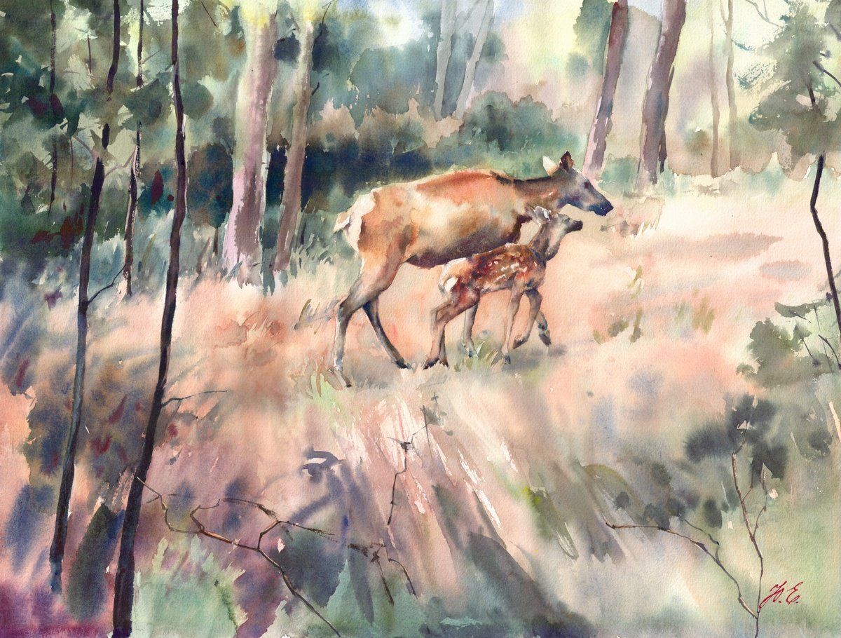 Deer in the forest, Watercolor animals painting by Yulia Evsyukova