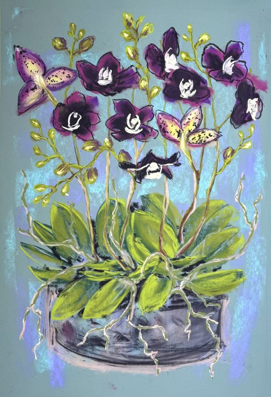 Set of 2 Pastel Wild orchids