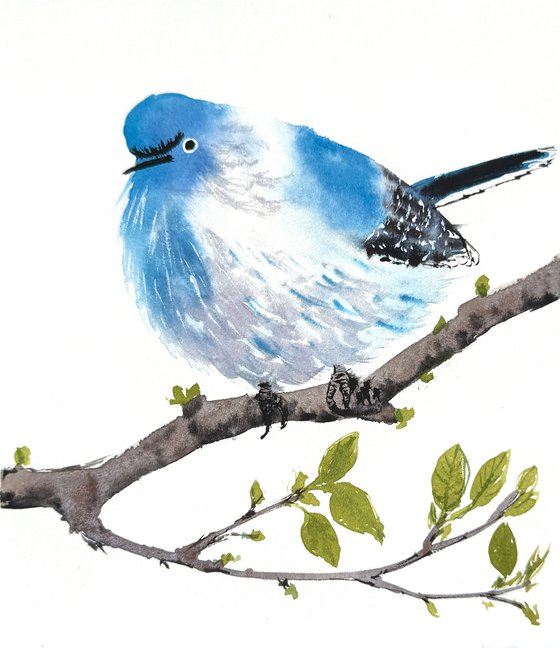 Blue-gray Gnatcatcher Bird