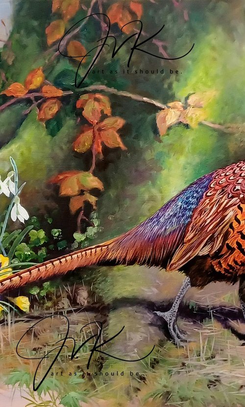 In All His Glory.. by Jo Van Kampen