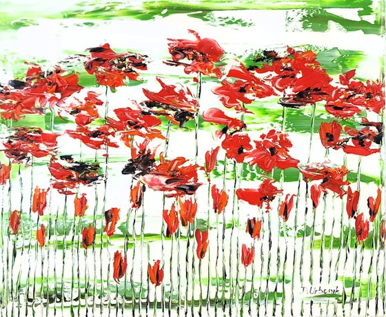 Flora Poppies 5