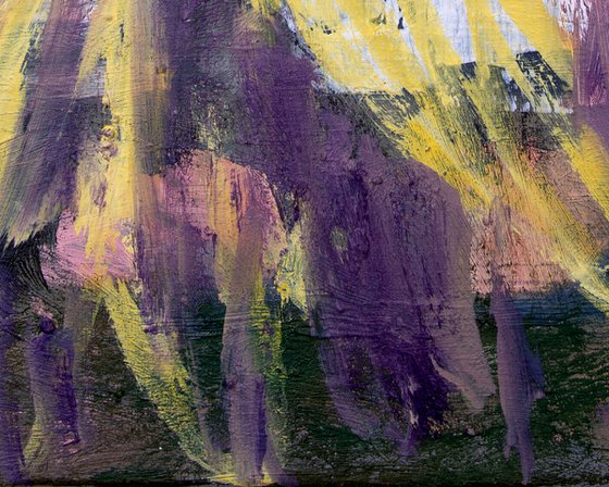 Lavender Meadows