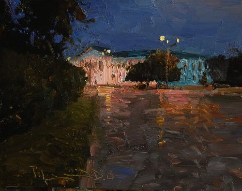After the evening rain by Denys Gorodnychyi