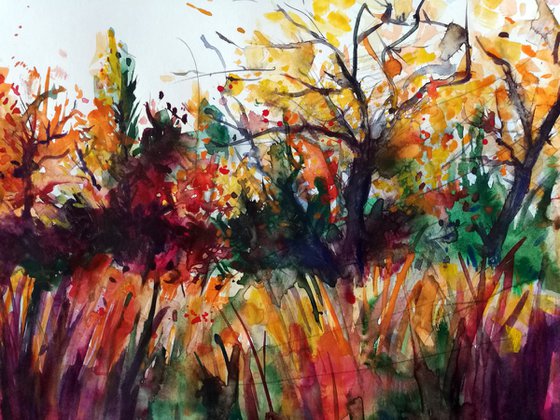 Autumn in South park II - Watercolor framed Painting by Georgi Nikov