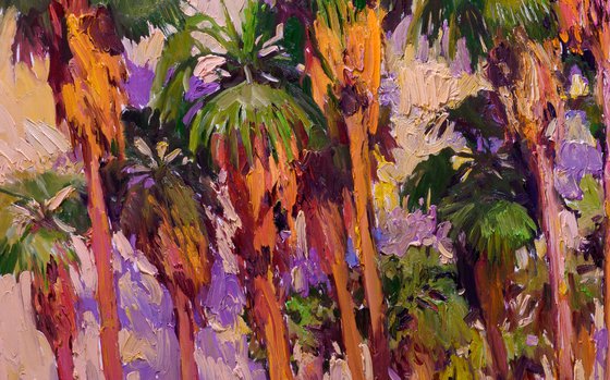 Palm Trees of the Desert, Palm Springs