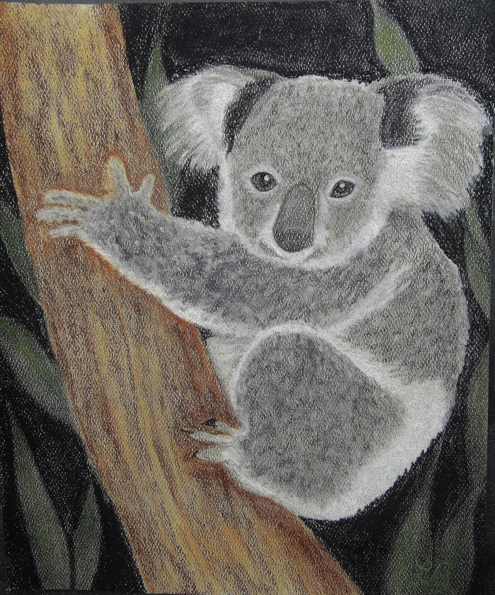 Koala Bear by Linda Burnett