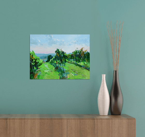 "  Vineyards "