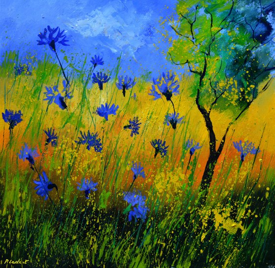 Blue cornflowers - 77