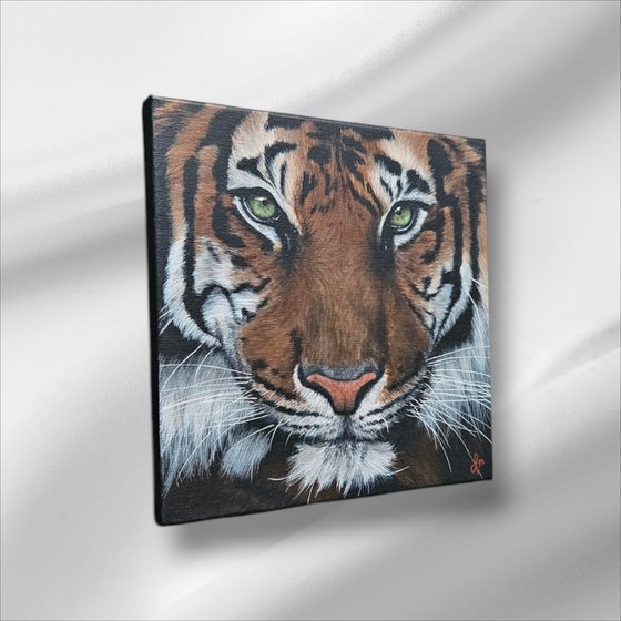 Painting Eye of the tiger