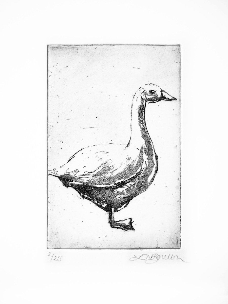 Goose by Louise Boulton