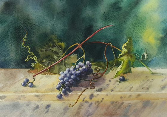 BRANCH OF GRAPES