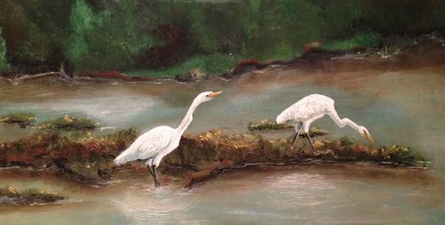 Young Great Egrets by Donna Daniels