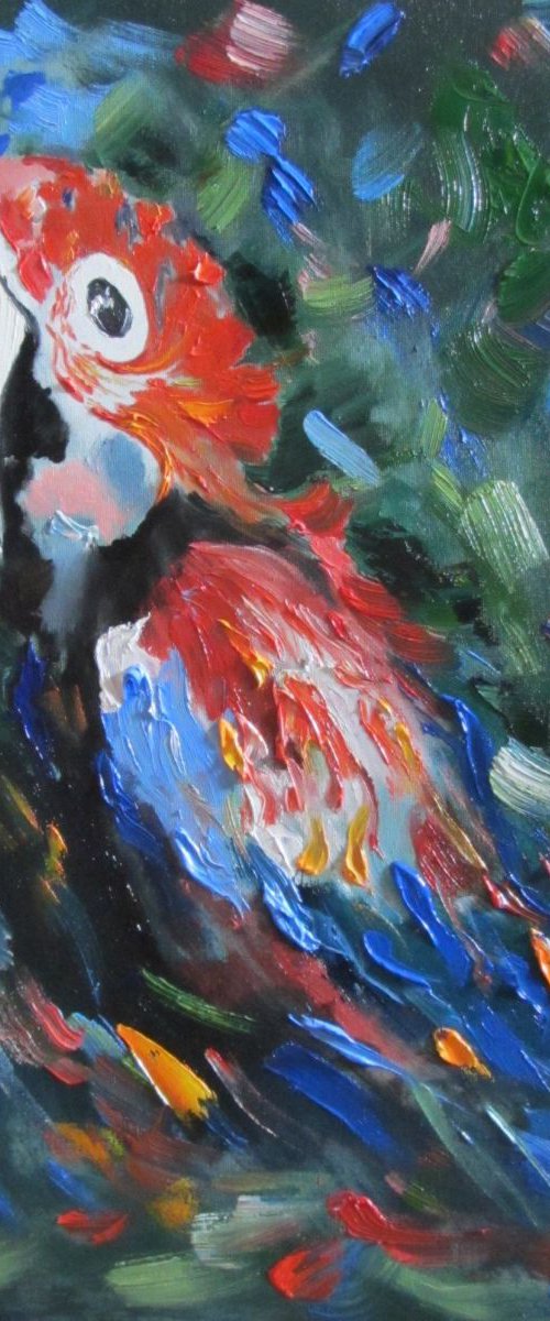 Macaw hedonist by Valeriia Radziievska
