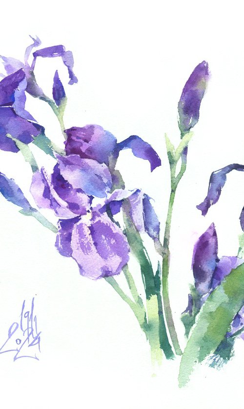 Dance of the purple irises by Ksenia Selianko