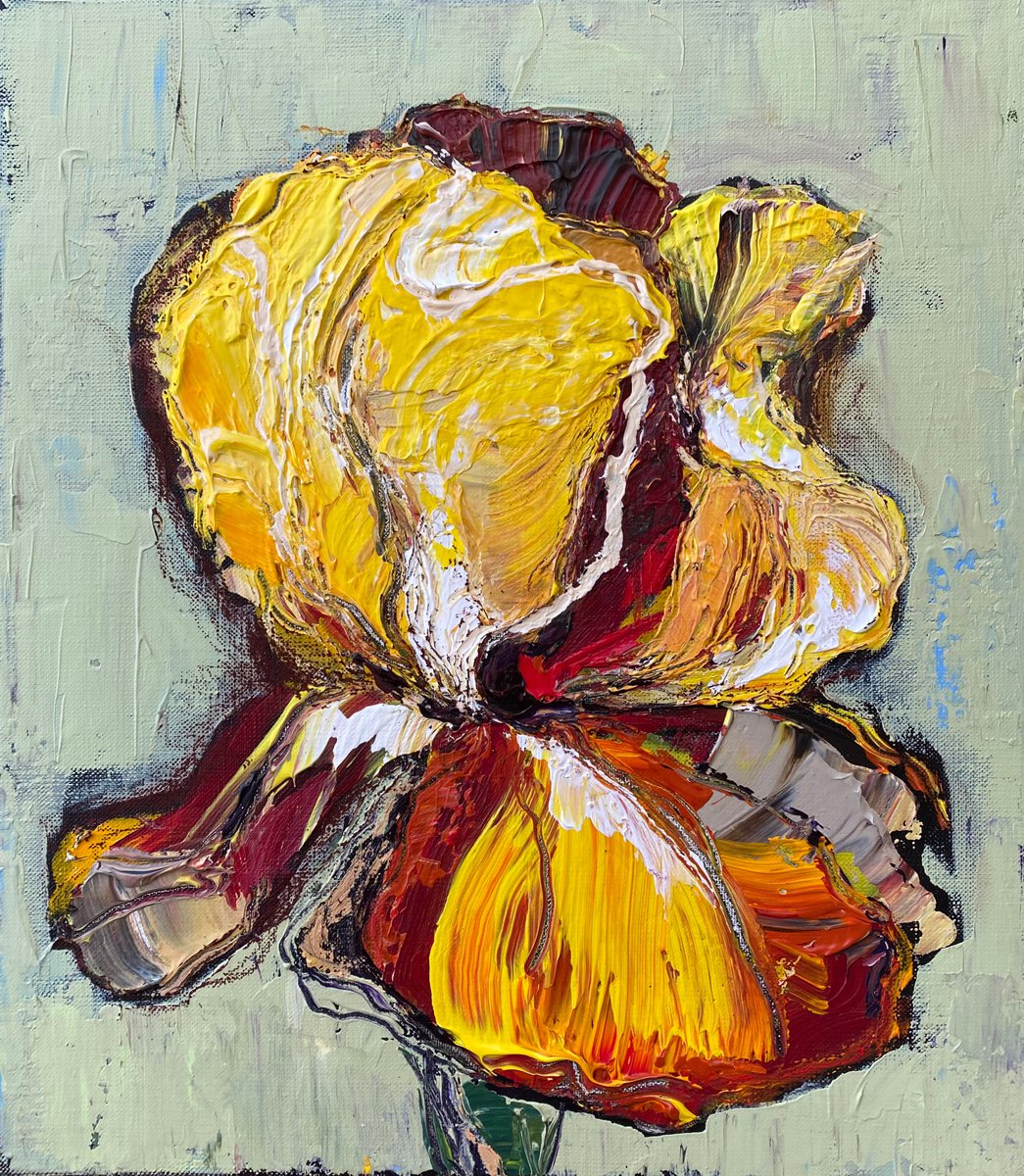 Yellow iris original painting on canvas by Oksana Petrova