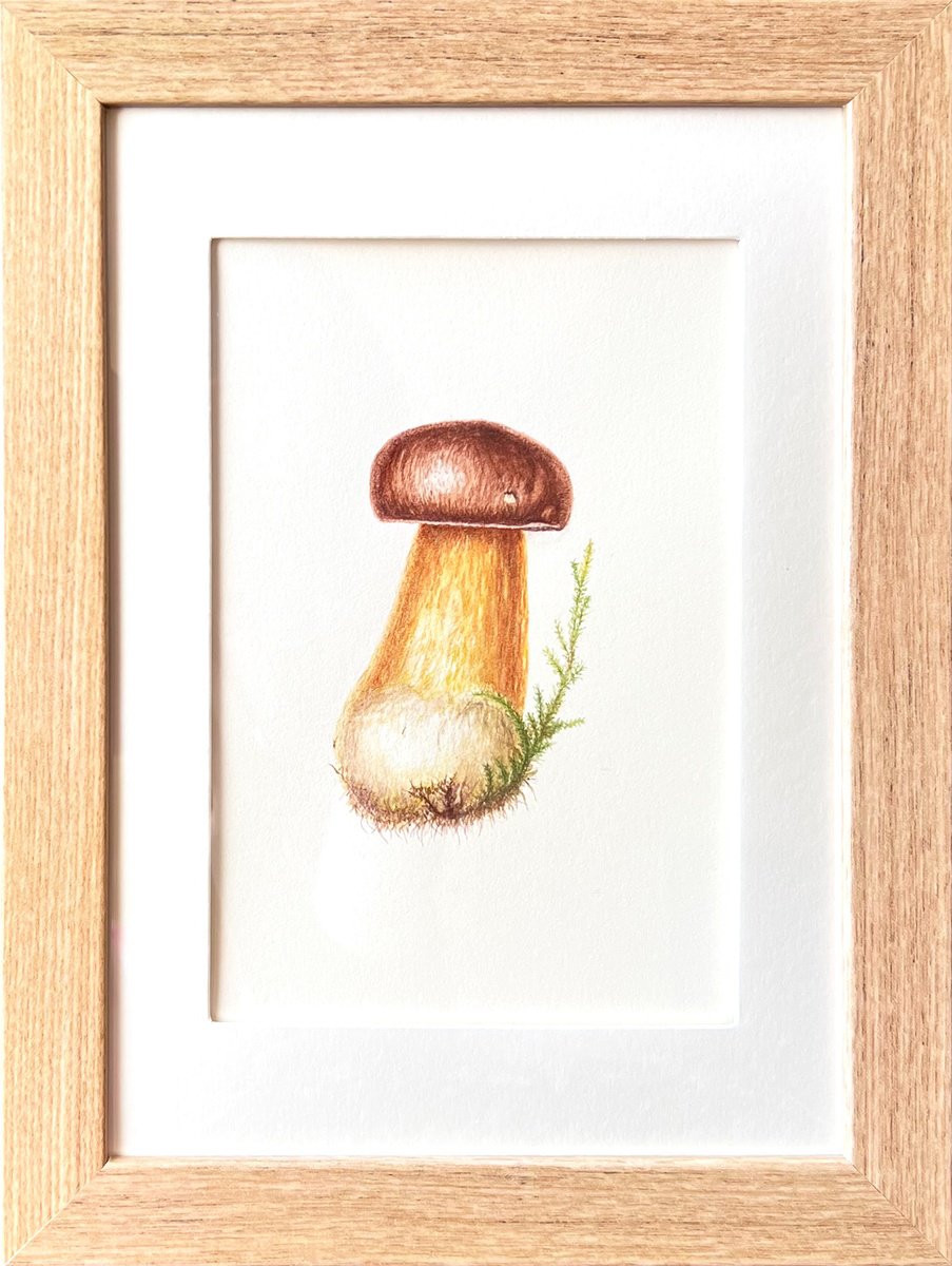 Illustrative Botanical Watercolour By Tetiana Kovalova, 7 X 9", Pretty Little Mushroom, Original Artwork