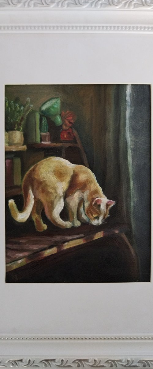 Cat by Viktória Déri