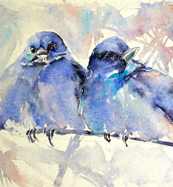 Mountain bluebirds