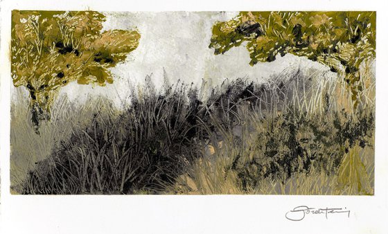 Landscape / Quiet Field