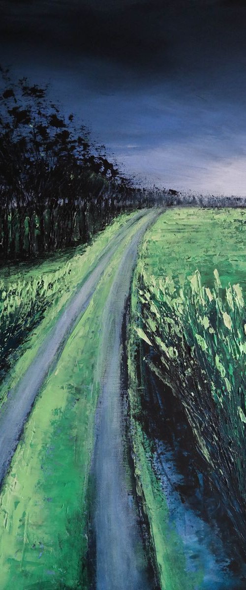 The Road after the Storm - Fields and Colors Series by Danijela Dan