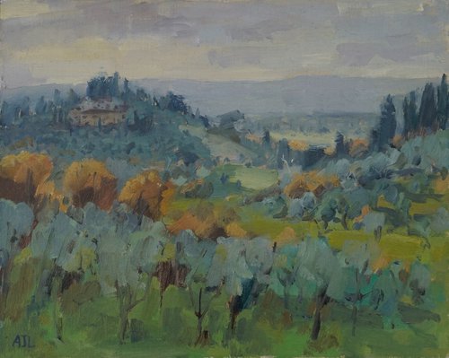 Afternoon Light over the Olive Groves by Alex James Long