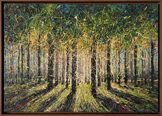 Spring Forest Light