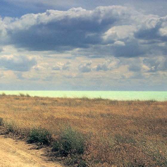 Along the road of memory.