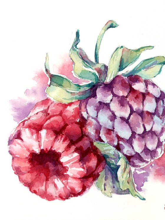 "Raspberries and blackberries" from the series of watercolor illustrations "Berries"