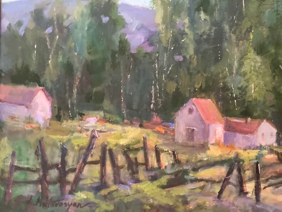 Behind  the Fence