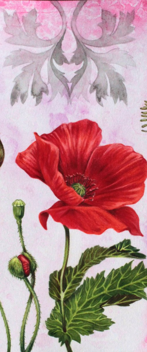 Sacred Plants: Poppy. by Griselle Morales Padrón