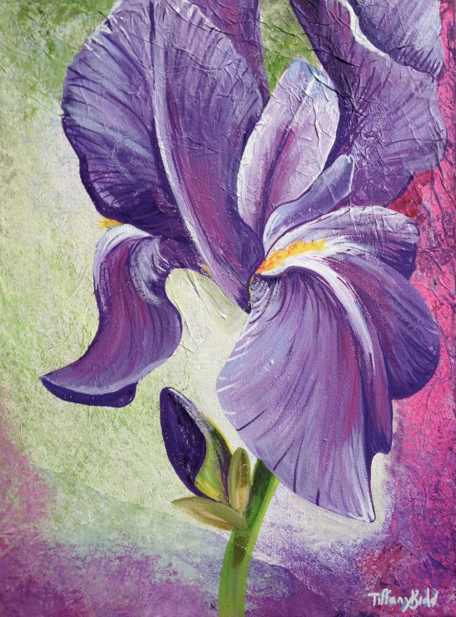 Textured lilac Iris by Tiffany Budd | Artfinder