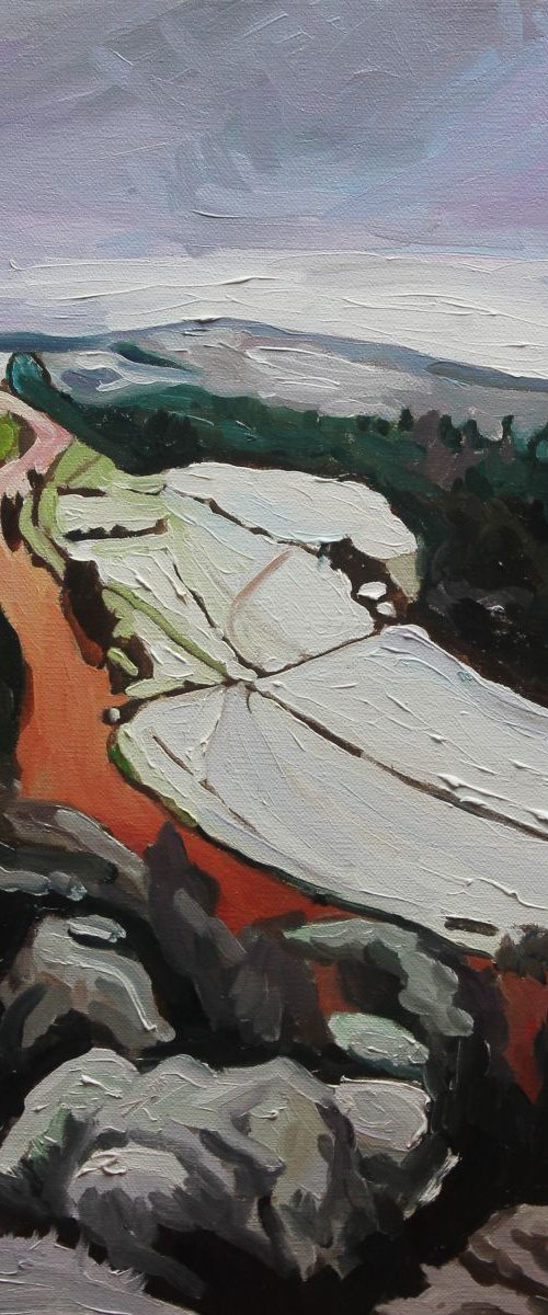 View From Symonds Yat 9 by Emma Cownie