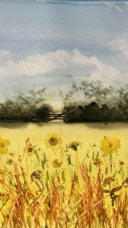 Field of Sun by Jill Simpson