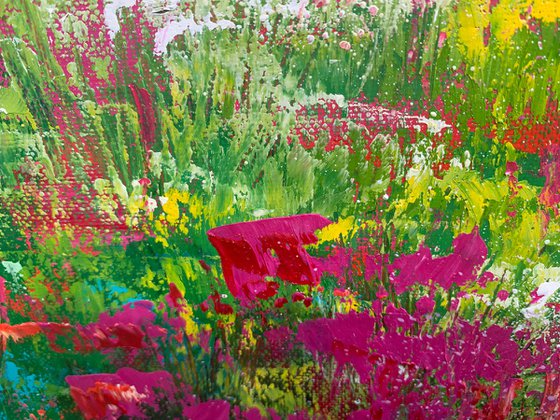 Wild Flowers at Polly Joke II
