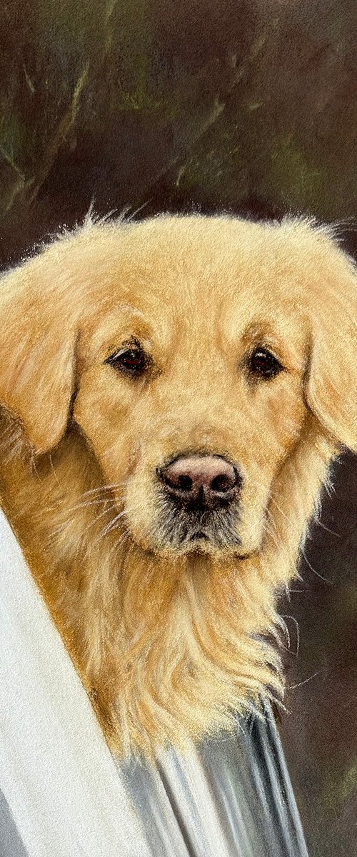 Retriever by Brian Halton