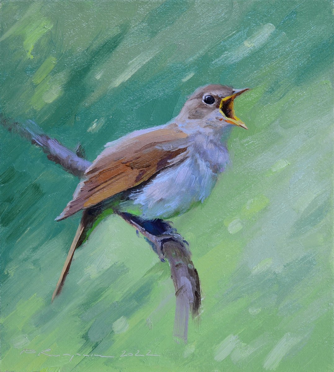 Photorealistic Animal Oil Painting By Ruslan Kiprych, 7 X 8", Voiced Nightingale, Original Artwork