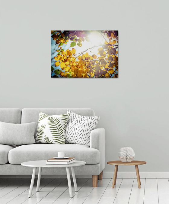 Winter is finally here | Limited Edition Fine Art Print 1 of 10 | 75 x 50 cm