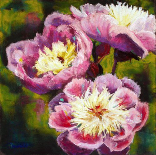 Perfect Peonies by Marion Derrett