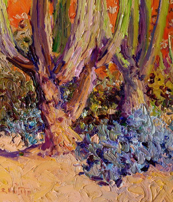 Cactuses in the Desert