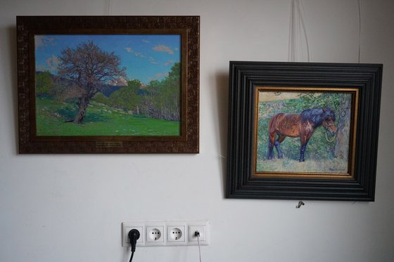 May. Spring in Teberda