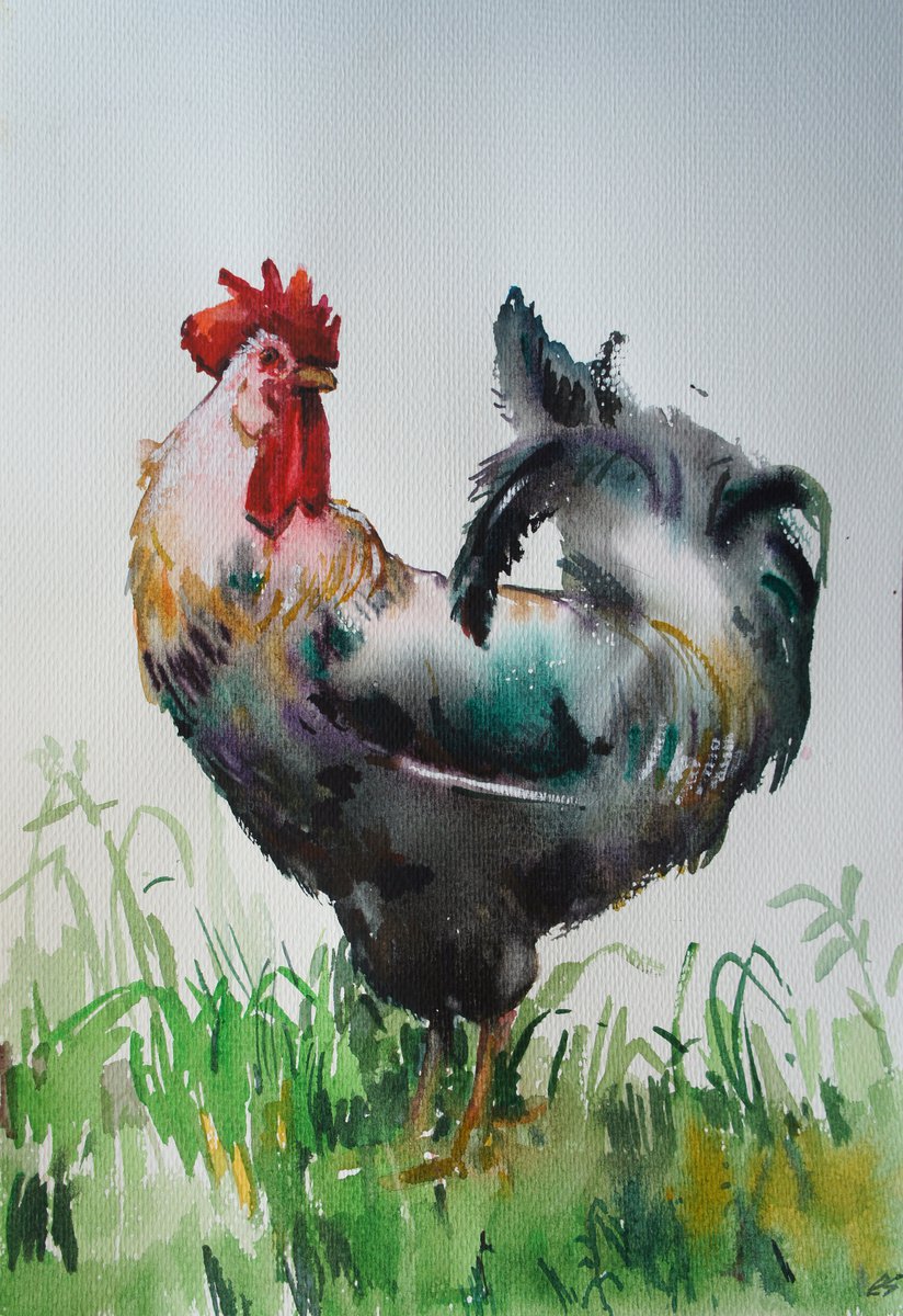 Rooster by Elena Sanina